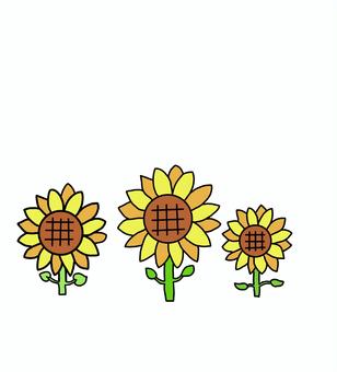 ひまわり ひまわり,向日葵,花,夏の花,夏,花畑,植物,お花畑,ひまわり畑のイラスト素材