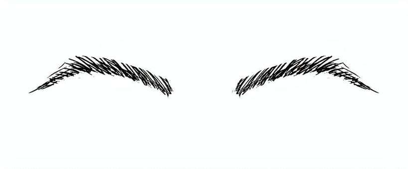 細眉（黒） 眉,顔,メイク,毛,黒,アイブロウのイラスト素材