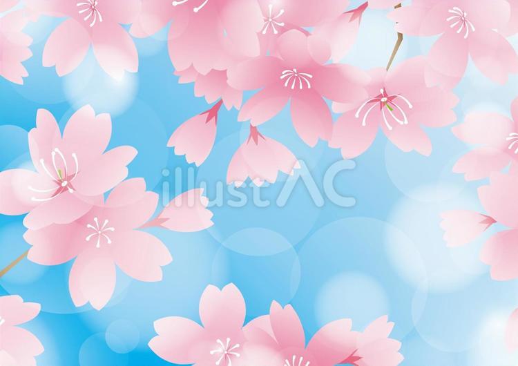 青空と桜の背景素材 春,桜,光のイラスト素材
