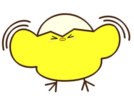 久しぶりって感じのひよこ３ ひよこ,鳥,動物,雛,けもの,モチーフ,カラー,卵,殻,被るのイラスト素材