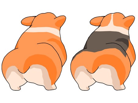 Illustration, कुत्ता, corgi, रियर व्यू, 