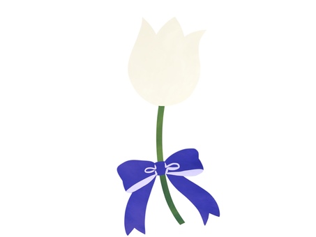リボン付きの白いチューリップの切り花 リボン,チューリップ,tulip,春,フラワー,花,植物,切り花,青,白のイラスト素材