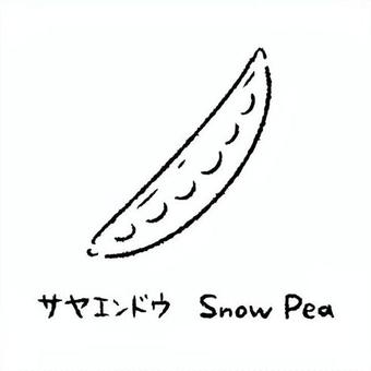 手描きのさやえんどう2_名称入_白黒 手描きのさやえんどう2_名称入_白黒 さやえんどう,野菜,アイコン,食べ物,シンプル,食材,健康,料理,農業,自然のイラスト素材