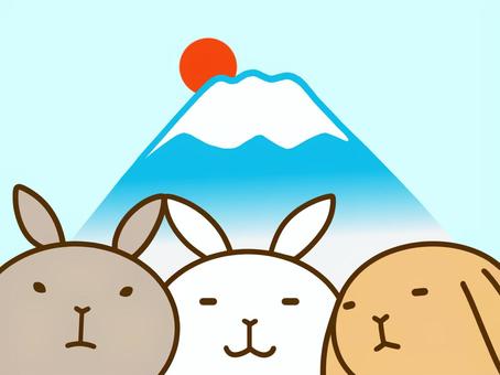 2023年賀状　うさぎ初日の出 うさぎ,卯年,年賀状,正月,富士山,元旦,新年,干支,十二支,初日の出のイラスト素材