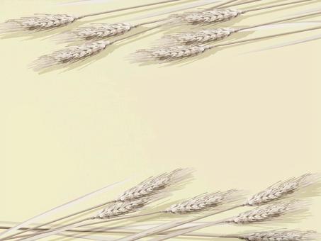 小麦色の麦穂とキャンバス地B　004 麦穂,小麦色,リアル,ナチュラル,お洒落,自然,植物,大人っぽい,枠,背景のイラスト素材