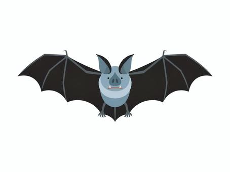 コウモリ　羽を広げるコウモリ コウモリ,イラスト,動物,夜行性,ハロウィン,ドラキュラ,羽,広げる,ベクター,黒のイラスト素材