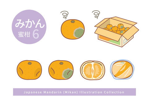 みかんのイラストセット6 みかん,腐る,カビ,傷む,箱,段ボール箱,しわ,皮,半分,ラップのイラスト素材