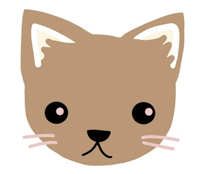 Cat pet, cat, kitten, a pet, JPG and PNG