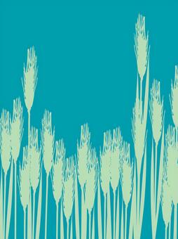 青々した緑の麦穂シルエット　２色 麦穂,青々,リアル,緑,シルエット,ツートーン,ナチュラル,お洒落,自然,植物のイラスト素材