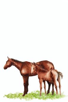 年賀ハガキ水彩馬の親子 馬,午年,動物,親子,干支,十二支,水彩,手描き,イラスト,アナログのイラスト素材