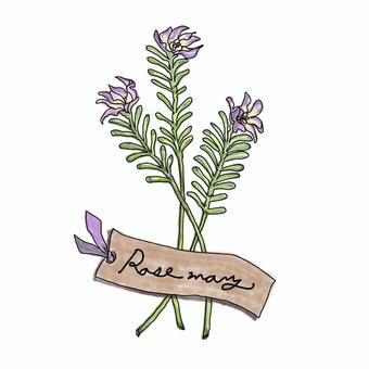 Illustration, rosemary, herbs, bookmark, 