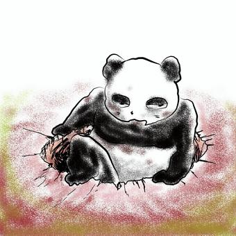 穴から出てきたパンダ パンダ,穴,出口,脱出,復活のイラスト素材