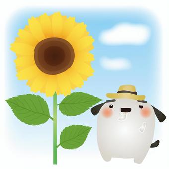 White dog Sunflower, , JPG, PNG and AI