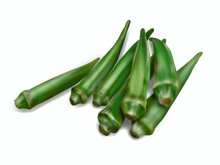 オクラ オクラ,野菜,果菜,食物繊維,ビタミンkのイラスト素材