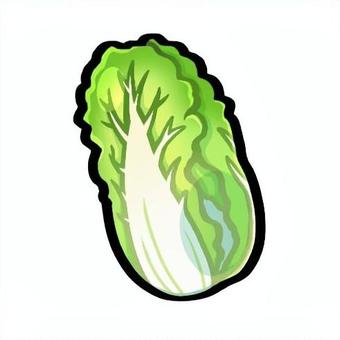 白菜（はくさい） 食べ物,食材,野菜,白菜,冬のイラスト素材