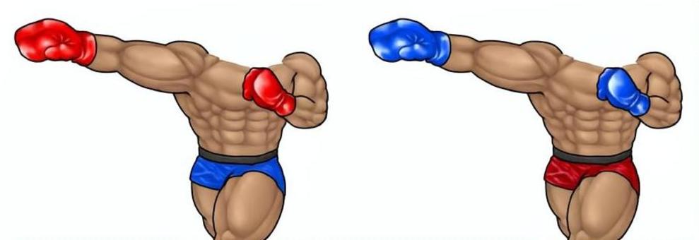 格闘家の胴体 格闘家,格闘技,ボクシング,kー1,体,胴体,パンチ,ストレート,殴る,筋肉のイラスト素材