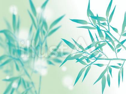 竹_カード