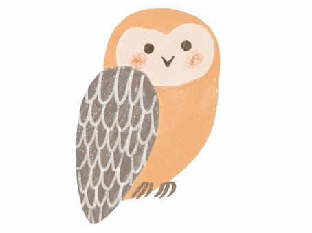 かわいいフクロウのイラスト　手描き風 フクロウ,北欧風,鳥,イラスト,森,癒し,単品,単体,アイコン,ほっこりのイラスト素材