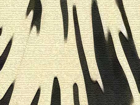 黒色とベージュのゼブラ柄の和紙風壁紙素材 和紙,黒色,ベージュ,アイボリー,ゼブラ柄,縞模様,背景,壁紙,抽象的,テクスチャのイラスト素材