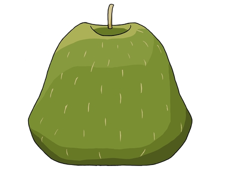 洋梨の実 洋梨,梨,実,植物,食べ物,秋,果実,緑,一個,食料のイラスト素材