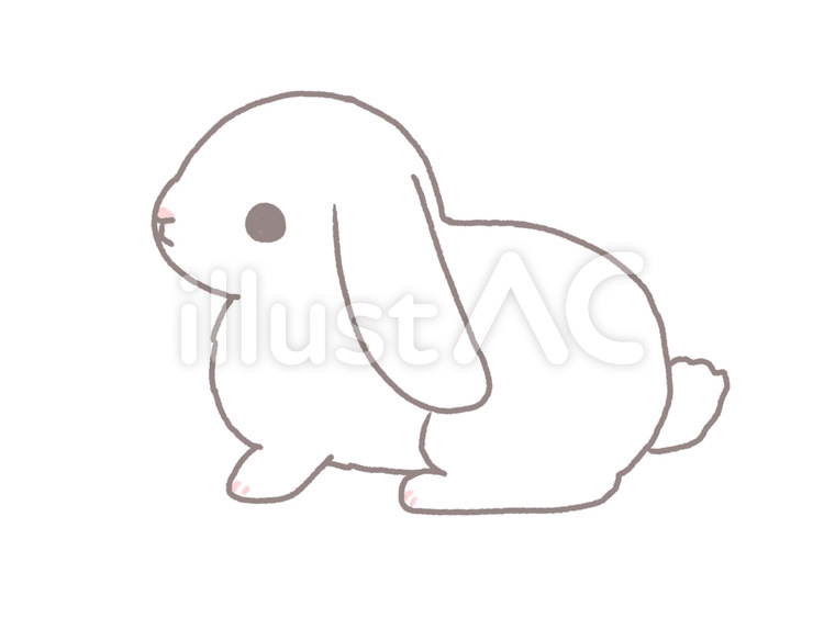 垂れ耳うさぎ　ホワイト 兎,ウサギ,うさぎのイラスト素材