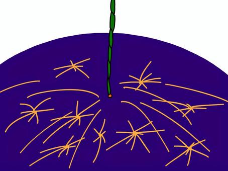 線香花火 線香花火,花火,夏,手持ち花火,風物詩のイラスト素材