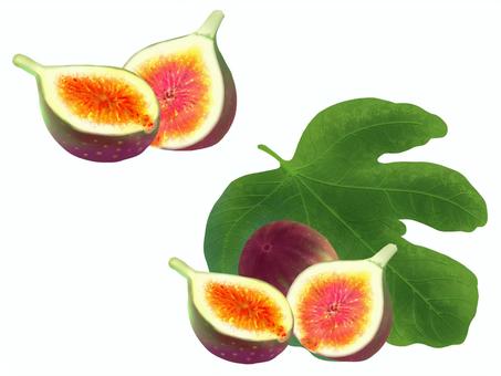 いちじくと葉っぱ いちじくと葉っぱ いちじく,葉っぱ,果物,セット,瑞々しい,手描きイラストのイラスト素材