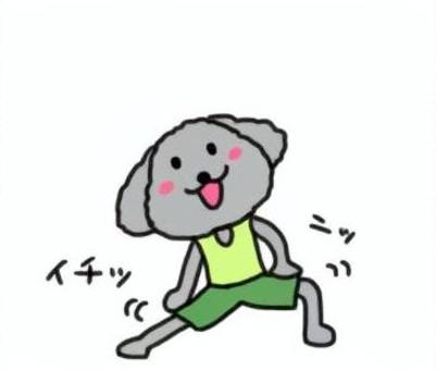 準備体操する犬 犬,準備運動,準備体操,運動,体操のイラスト素材