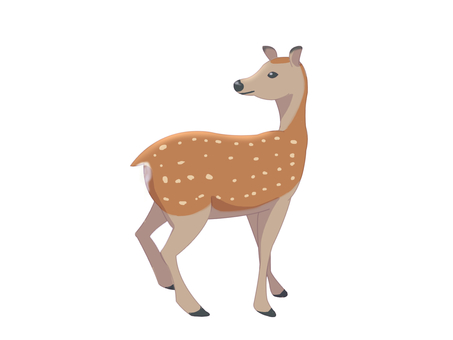 ニホンジカ(振り向く・主線なし) ニホンジカ(振り向く・主線なし) ニホンジカ,鹿,動物,奈良,振り向く,主線なしのイラスト素材