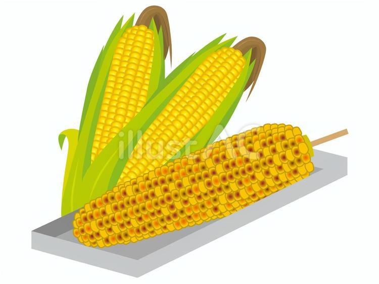 焼きとうもろこし05/縁日93 焼きトウモロコシ,とうもろこし,祭りのイラスト素材