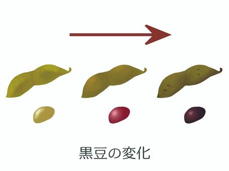 黒豆の変化（野菜名入り） 黒豆,枝豆,北海道,群馬県,皮,緑,紫,黒,甘味,和食のイラスト素材