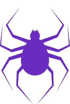 Illustration, uma aranha, aranha, inseto, 