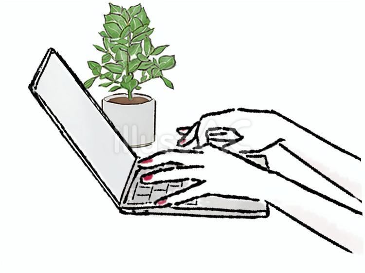 パソコン　手　植物　キーボード　仕事 パソコン,手,ビジネスのイラスト素材