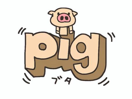 PIG, pig, cute, english, JPG and PNG