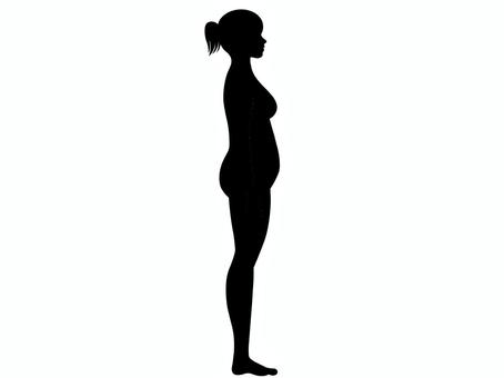 体型 体型,ダイエット,身体,体,ぽっちゃり,メタボ,メタボリック,脂肪,皮下脂肪,贅肉のイラスト素材