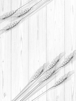 白黒の麦穂と板の背景2　mugi009 麦穂,白黒,リアル,ナチュラル,お洒落,自然,植物,大人っぽい,枠,背景のイラスト素材