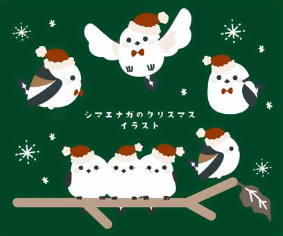 サンタ帽子のシマエナガセット 主線なし クリスマス,シマエナガ,12月,鳥,動物,小鳥,サンタ帽,冬,季節,北欧のイラスト素材