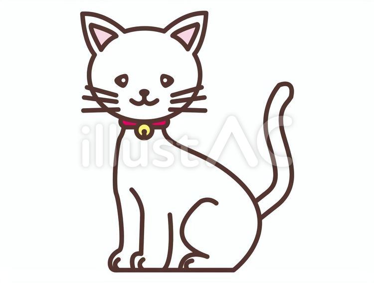 猫 動物,白ネコ,白ねこのイラスト素材