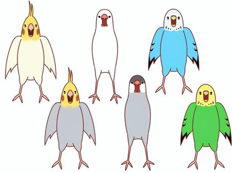 Illustration, bird, birdie, sentenced bird, 