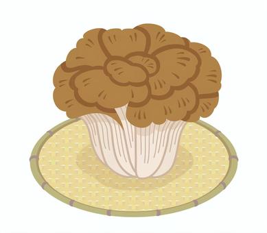 マイタケ マイタケ,キノコ,菌類,食べ物,農業,食材,農作物,白背景,笊のイラスト素材