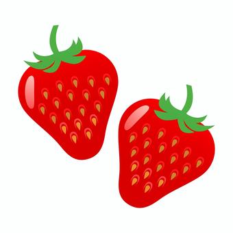 いちご　2粒 苺,いちご,イチゴ,ストロベリー,フルーツ,果物,果実,実,種,つぶつぶのイラスト素材