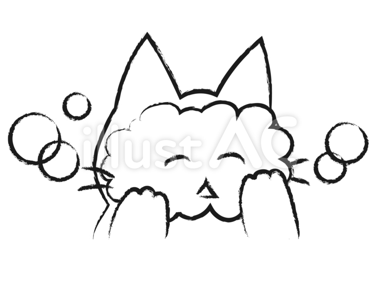 洗顔をする猫 洗顔,猫,スキンケアのイラスト素材