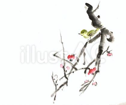 水墨画シリーズ ウグイスと梅