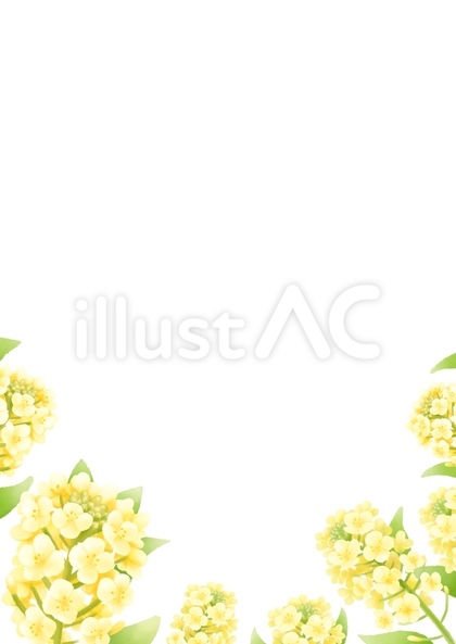 菜の花の春