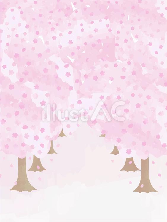 淡いピンクの水彩風桜並木02 桜並木,桜,春のイラスト素材