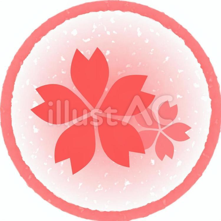 桜の花　ピンク丸枠 かわいい花,花,桜のイラスト素材