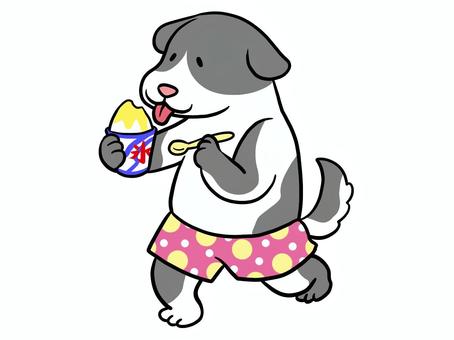 かき氷 かき氷 犬,かき氷,夏のイラスト素材