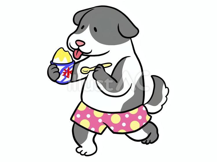 かき氷 犬,かき氷,夏のイラスト素材