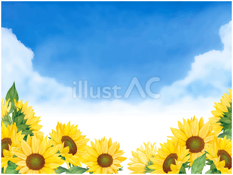ひまわりと夏の空の背景素材 ひまわり,ひまわり畑,空のイラスト素材