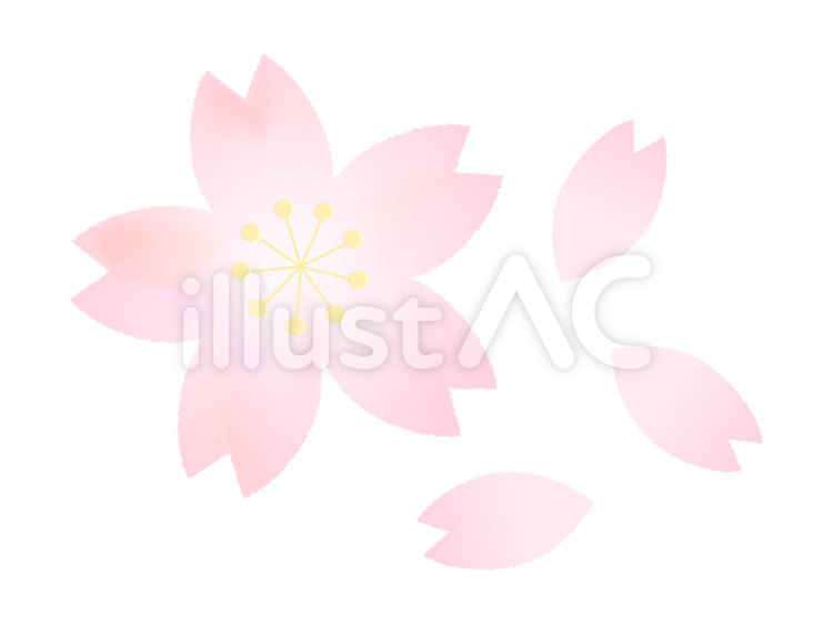桜と花びら1 桜,花びら,ピンクのイラスト素材